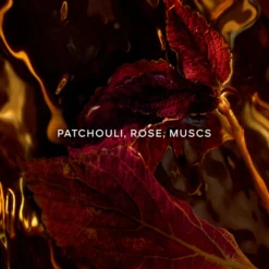 Absolus Allegoria Patchouli Ardent