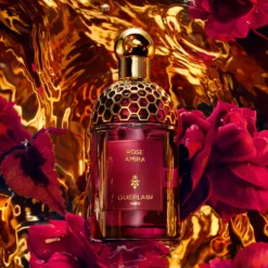 Absolus Allegoria Rose Amira