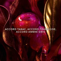 Absolus Allegoria Tabac Sahara