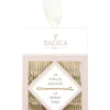 Bachca