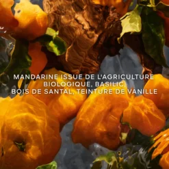 Coffret Aqua Allegoria Mandarine Basilic