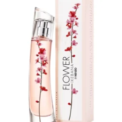 Flower Ikebana By Kenzo