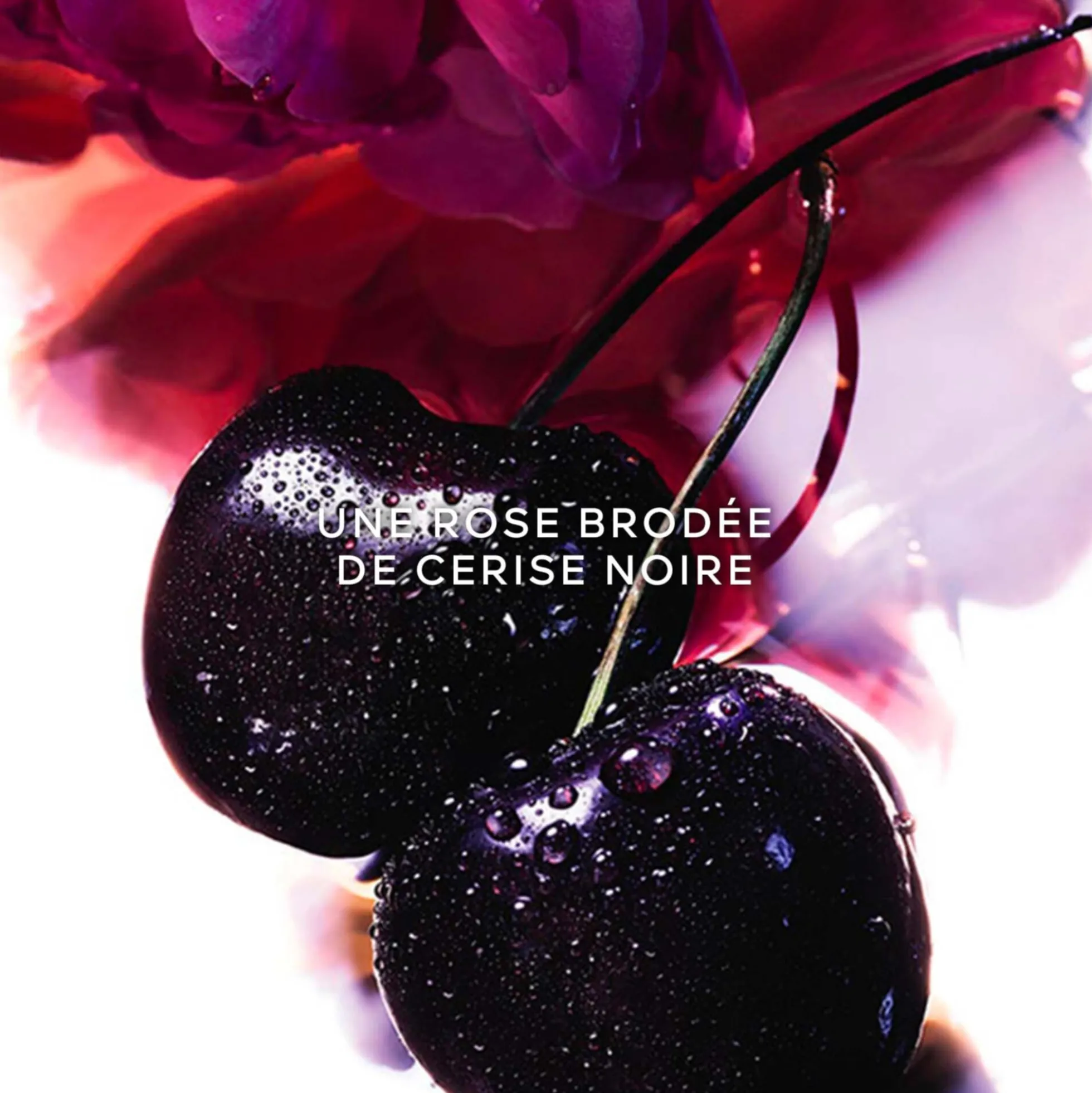 La Petite Robe Noire