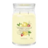 Limonade Glacée Aux Fruits Rouges