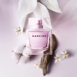 Narciso
