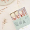 Set De 5 Pinceaux Professionnels