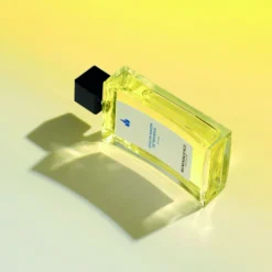 Sous Un Mimosa De Provence